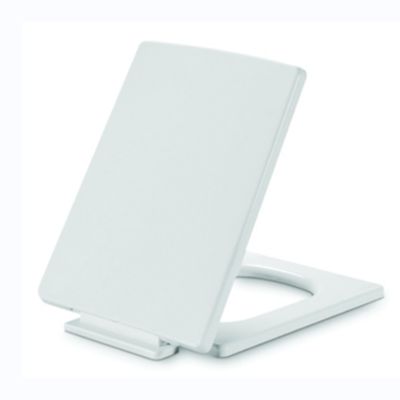 Rectangular Slow-Close Plastic Toilet Seat Cover met sterkte bevestiging en zachte afdichting