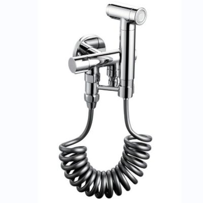 Hoogste kwaliteit beste verkoop lichtgrijze 304 handtoilet spray