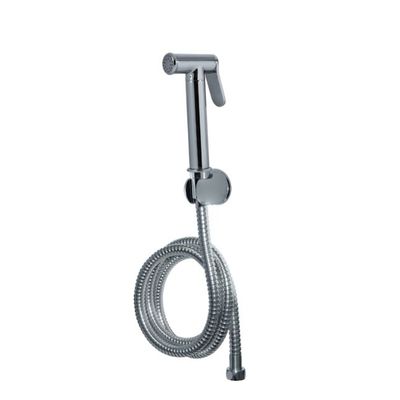 Lichtegrijze, met chroom geplatte handbeddensprayer voor badkamer